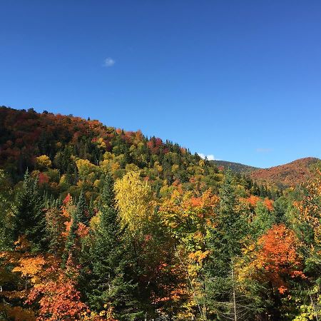 Loft Nature Laurentides Val-des-Lacs Ngoại thất bức ảnh