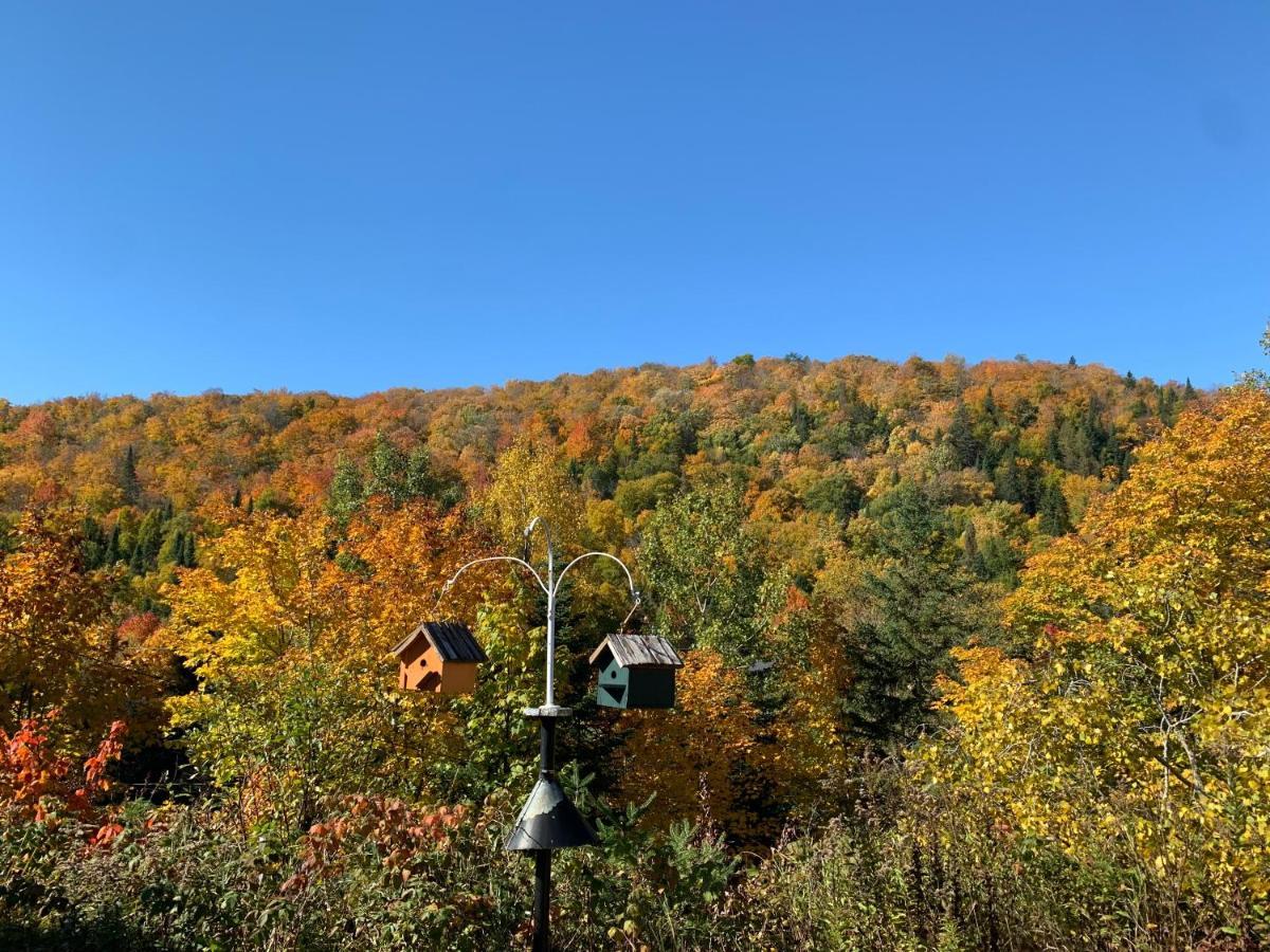 Loft Nature Laurentides Val-des-Lacs Ngoại thất bức ảnh