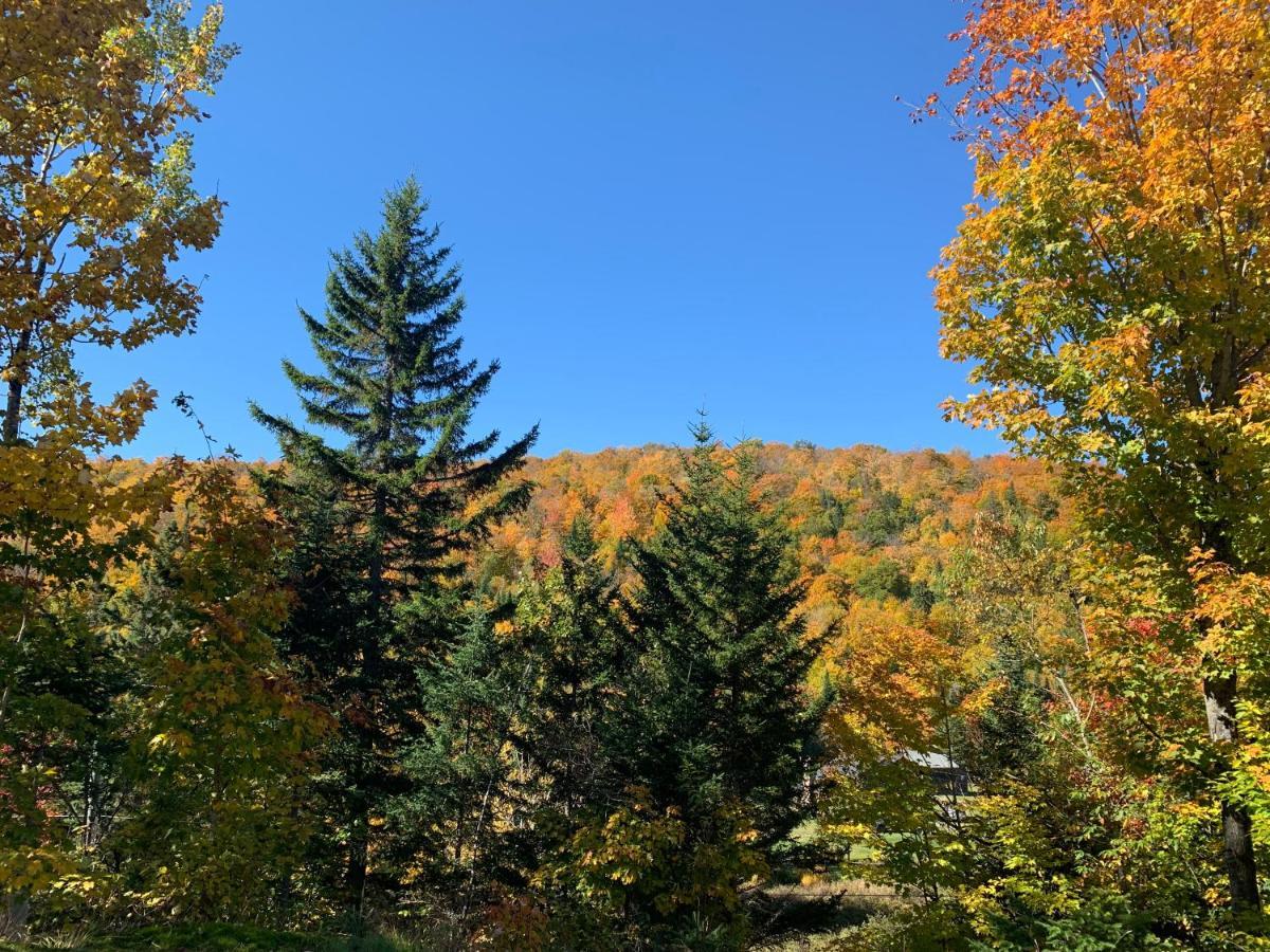 Loft Nature Laurentides Val-des-Lacs Ngoại thất bức ảnh