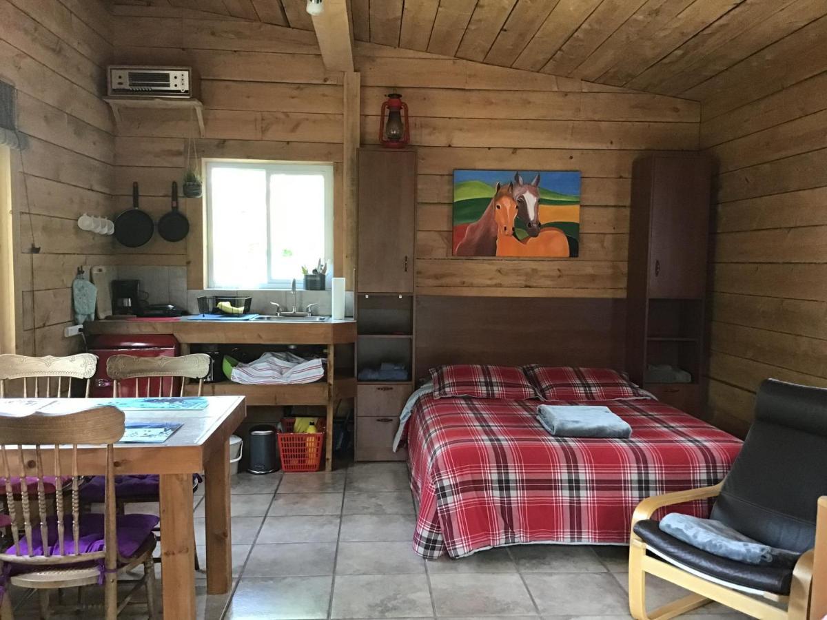 Loft Nature Laurentides Val-des-Lacs Ngoại thất bức ảnh