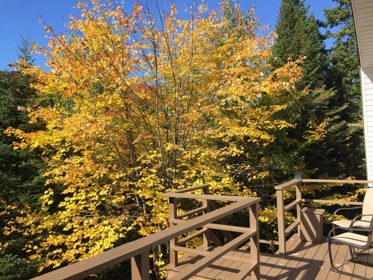 Loft Nature Laurentides Val-des-Lacs Ngoại thất bức ảnh