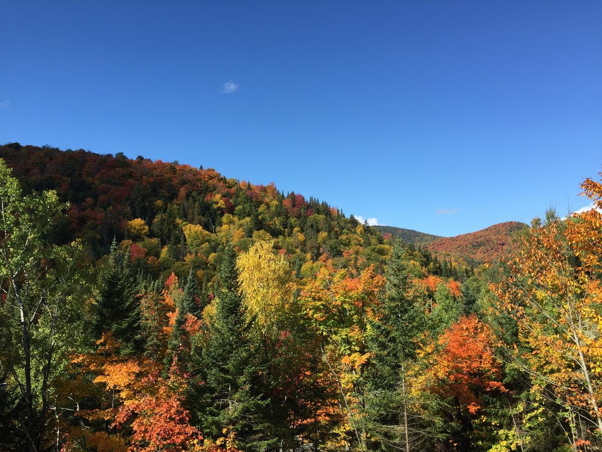 Loft Nature Laurentides Val-des-Lacs Ngoại thất bức ảnh