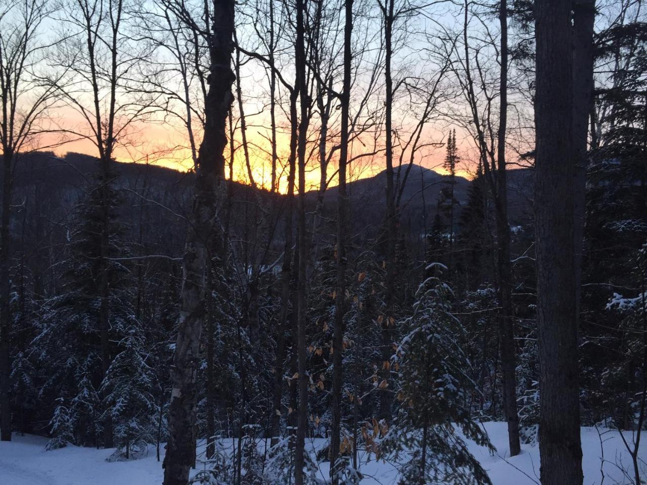 Loft Nature Laurentides Val-des-Lacs Ngoại thất bức ảnh